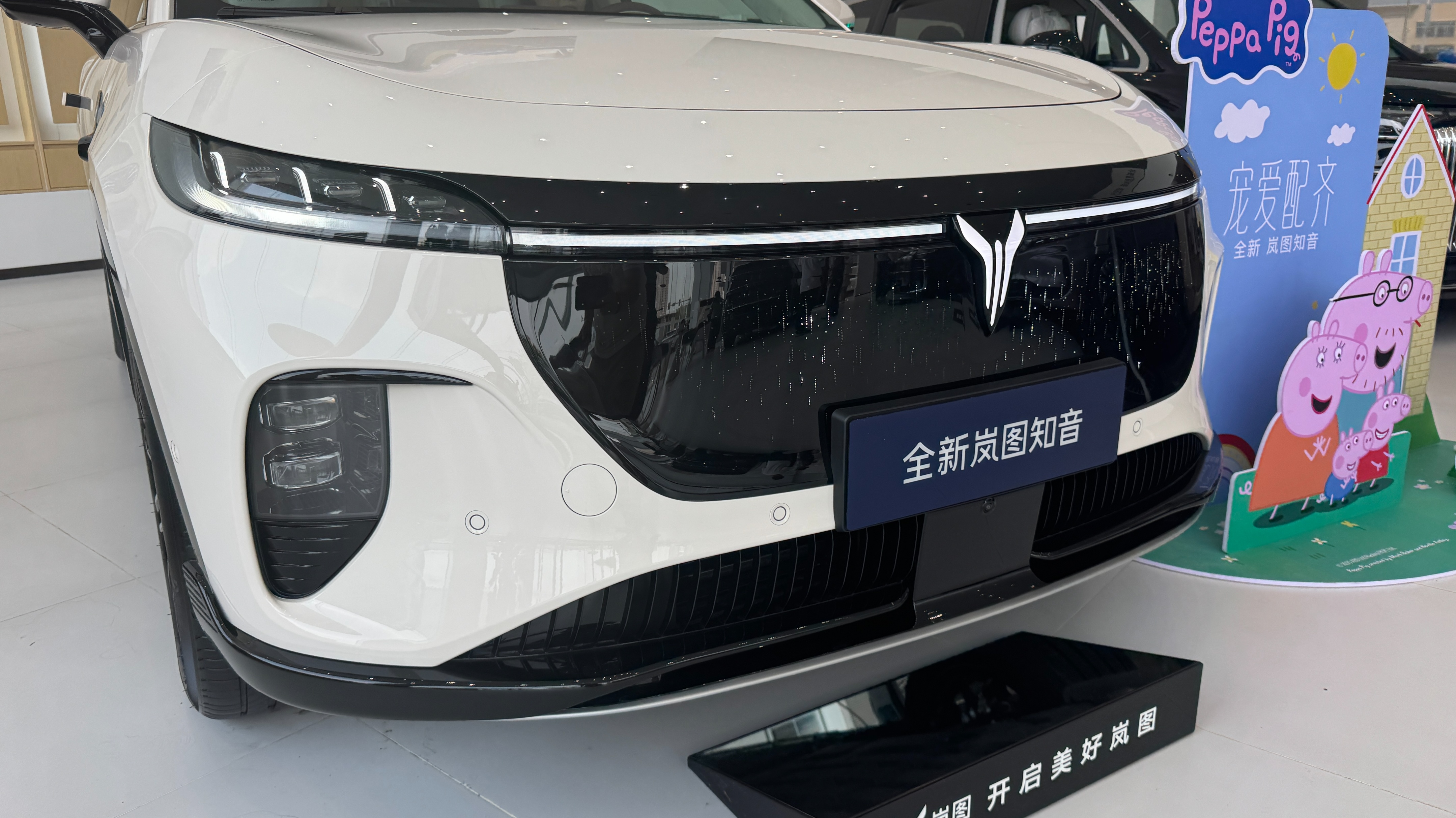 指導(dǎo)售價(jià)20.29萬元起！嵐圖全新知音正式上市
